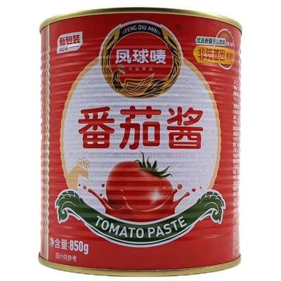 凤球唛番茄酱850g ntzy