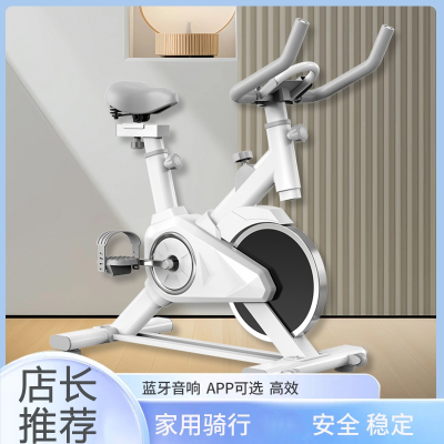  闪电客动感单车家用款室内小型运动自行车有氧减肥家庭锻炼健身器材