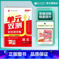 语文 九年级下 [正版]2025年春 初中语文单元双测九年级下册人教版 9年级下册初三RJ基础达标训练综合培优期中期末全