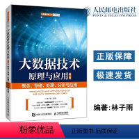 [正版] 大数据技术原理与应用——概念 存储 处理 分析与应用 第3版第三版 林子雨 大数据创新人才培养系列 人民邮