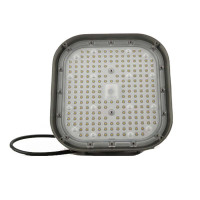 赛时工控(SHSSGK) SKSZD8-4307 AC220V 100W IP65 防水防尘灯 (单位:个) 灰