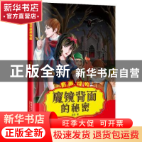 正版 魔镜背面的秘密 赵岩编 哈尔滨工业大学出版社 978756035945