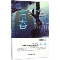 音像漂泊青春田太伦