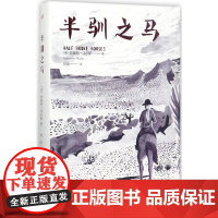 半驯之马(精装)