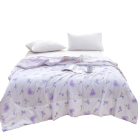 金丝莉艾香被 JB-1391 150×210cm(NM)