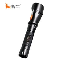 辉牛 摄像手电 HN7119 个