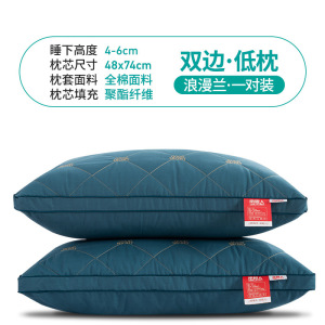 一对装枕头双人家用酒店单人男枕芯一对WS