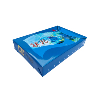 80gA5状元复印纸一体机打印纸80g打印纸A5复印纸(10包/箱 10000页)