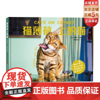 猫薄荷上的猫 宠物 猫 摄影 影集 书籍 北京科学技术