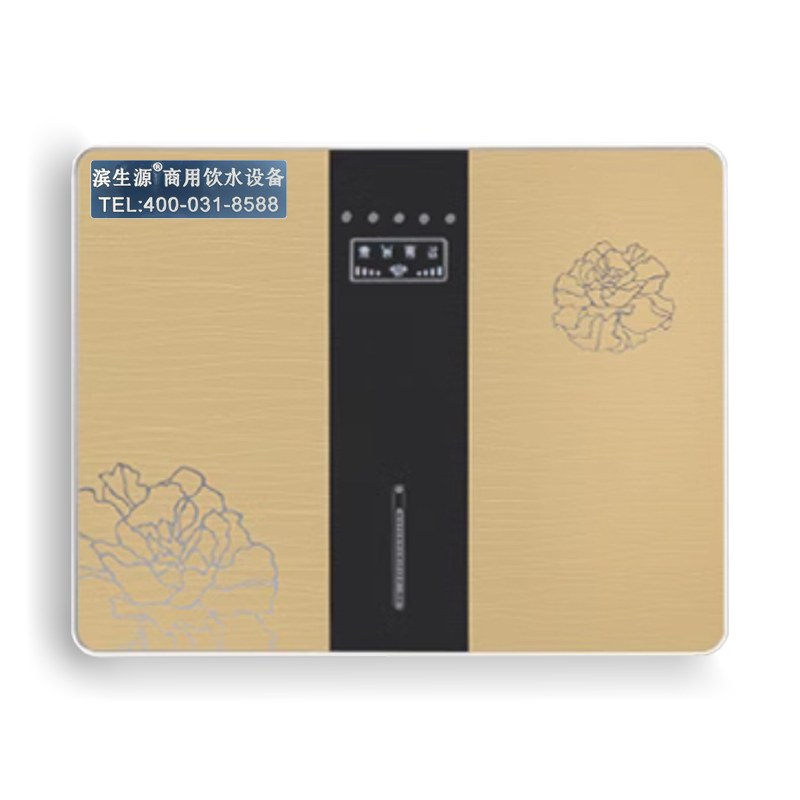 滨生源家用壁挂净水机五级反渗透3.2G压力桶BSY-100RO(台)