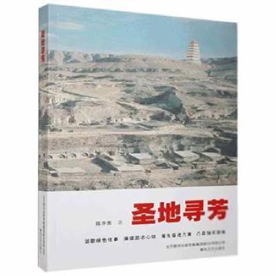 正版新书]圣地寻芳 9787531353348陈齐贵著9787531353348