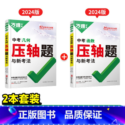 99%家长选择★压轴题[几何+函数]2本 初中通用 [正版]数学压轴题2024初中七年级动点专项训练几何函数精讲精练八年