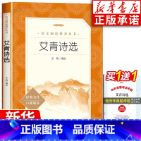 [正版] 艾青诗选广东九年级课外书必读 原著 人民文学出版社 九年级课外阅读书籍 初三上册课外阅读书 世界名著