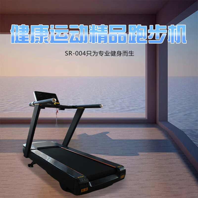 世尔顿(SHIERDUN) 跑步机 SR-004 台