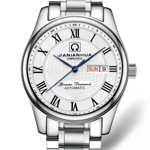 瑞士嘉年华CARNIVAL手表 新款名匠商务男士全自动机械表 男表休闲时尚日历星期防水金属精钢男表 腕表8667G精钢款