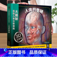 [人体的奥秘立体书] [正版] 汽车王国立体书交通工具翻翻书汽车书籍小百科儿童3d立体书学前幼儿园小学生一二三年级课外读