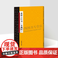 中国历代书法名家名品系列 张即之行书 金刚经 适合书法爱好者鉴赏赏析临摹范本 书法普及读物初学者入门教程 云平 河南美术