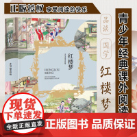 红楼梦 三年级四年级课外阅读赏析 五年级六年级经典名人名著故事 6-12岁少儿趣味故事读物 全国通用版无障碍课外阅读书