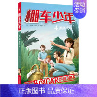 棚车少年(4神秘农场中英双语) [正版]书店棚车少年(4神秘农场中英双语)
