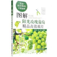 [N]图解阳光玫瑰葡萄精品高效栽培(专业园艺师的不败指南)-9787109284548