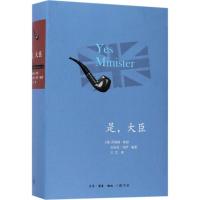 正版新书]是大臣乔纳森·林恩9787108060105