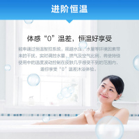 能率(NORITZ) 13升燃气热水器 GQ-13F3FEX(天然气)(JSQ25-F3)