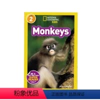 [正版]进口英文原版绘本National Geographic Kids Level2:Monkeys 国家地理分级阅