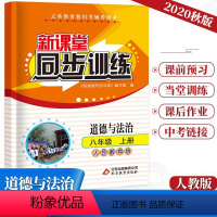 道德与法治 八年级/初中二年级 [正版]2024新课堂同步训练道德与法治八年级上册人教版专项训练八年级初