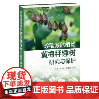 珍稀濒危植物黄梅秤锤树研究与保护 黄梅秤锤树发现与濒危现状 黄梅秤锤树种群与群落结构 黄梅秤锤树保育遗传学研究栽培参考书