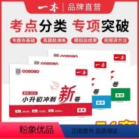 [三本]套装 小学升初中 [正版]一本小升初冲刺新卷语文数学英语名校冲刺历年真题试卷六年级小升初总复习三步分类练真题小升