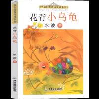 正版新书]名家经典童话悦读系列:花背小乌龟冰波9787557025571
