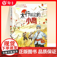 太行山上的小鹰fb红色经典励志儿童读物作者徐鲁新蕾出版社抗日小英雄热血故事内配“阅读地图” 爱国新时代少年