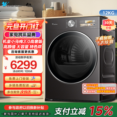 小天鹅(Little Swan)小乌梅3.0高奢版高颜值大容量专业烘护1000ml蒸汽护理强效去皱TH12VE40PRO