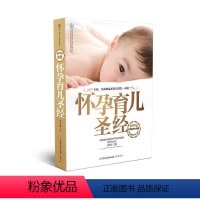 [正版]怀孕育儿程蔚蔚书店育儿与家教江苏科学技术出版社书籍 读乐尔书