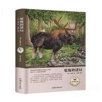 正版新书]驼鹿的谜局[苏]比安基 著;王金锋 编9787565833656