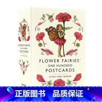 [正版] 花仙子一百张明信片进口英文原版 Flower Fairies One Hundred Postcards