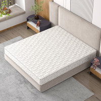 域赢床垫3E椰棕床垫全网弹簧家用床垫单人床垫2000*1200*200
