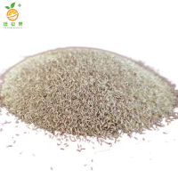 廷豪果 黑麦草草籽 绿化草坪种子 包衣 /千克