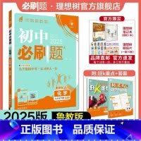 化学 LJ 九年级下 [正版]理想树2025版初中必刷题九年级下册化学鲁教版LJ初三必刷题同步练习中考复习资料模拟题辅导