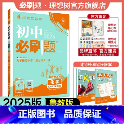 化学 LJ 九年级下 [正版]理想树2025版初中必刷题九年级下册化学鲁教版LJ初三必刷题同步练习中考复习资料模拟题辅导