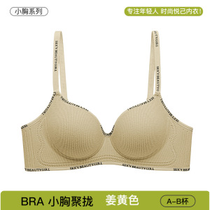 漫画胸圆圆杯外扩内衣女小胸聚拢显大无痕软支撑防下垂收副乳文胸