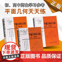 平面几何天天练 上中下卷 基础篇 直线型 提高篇 初中高中数学知识要点手册题型练习书籍 哈尔滨工业大学出版社