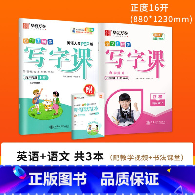 [更全面⭐ 划算]五上(语文+英语 ) [正版]字帖写字课一二三四五六年级上册下册 下上语文英语同步练字帖一年级字帖练字