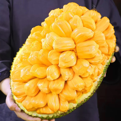 [西沛生鲜]海南红肉菠萝蜜 新鲜水果 香甜可口 1个 净重14-16斤装 西沛水果