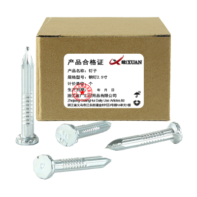 昡 钉子 钢钉2.5寸 个