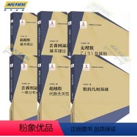 丢番图逼近与超越数系列丛书 6册 [正版]中科大 丢番图逼近与超越数系列 朱尧辰 越数 代数无关性 丢番图逼近 基本理论