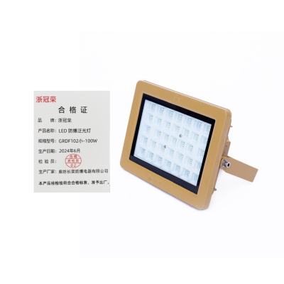 浙冠荣 GRDF102小-100W 免维护LED防爆泛光灯