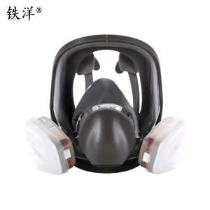 铁洋 呼吸防护面罩 TY-HX003 套
