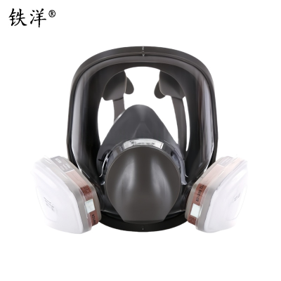 铁洋 呼吸防护面罩 TY-HX003 套
