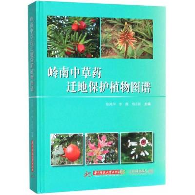 正版新书]岭南中草药迁地保护植物图谱徐鸿华、李薇、詹若挺 编